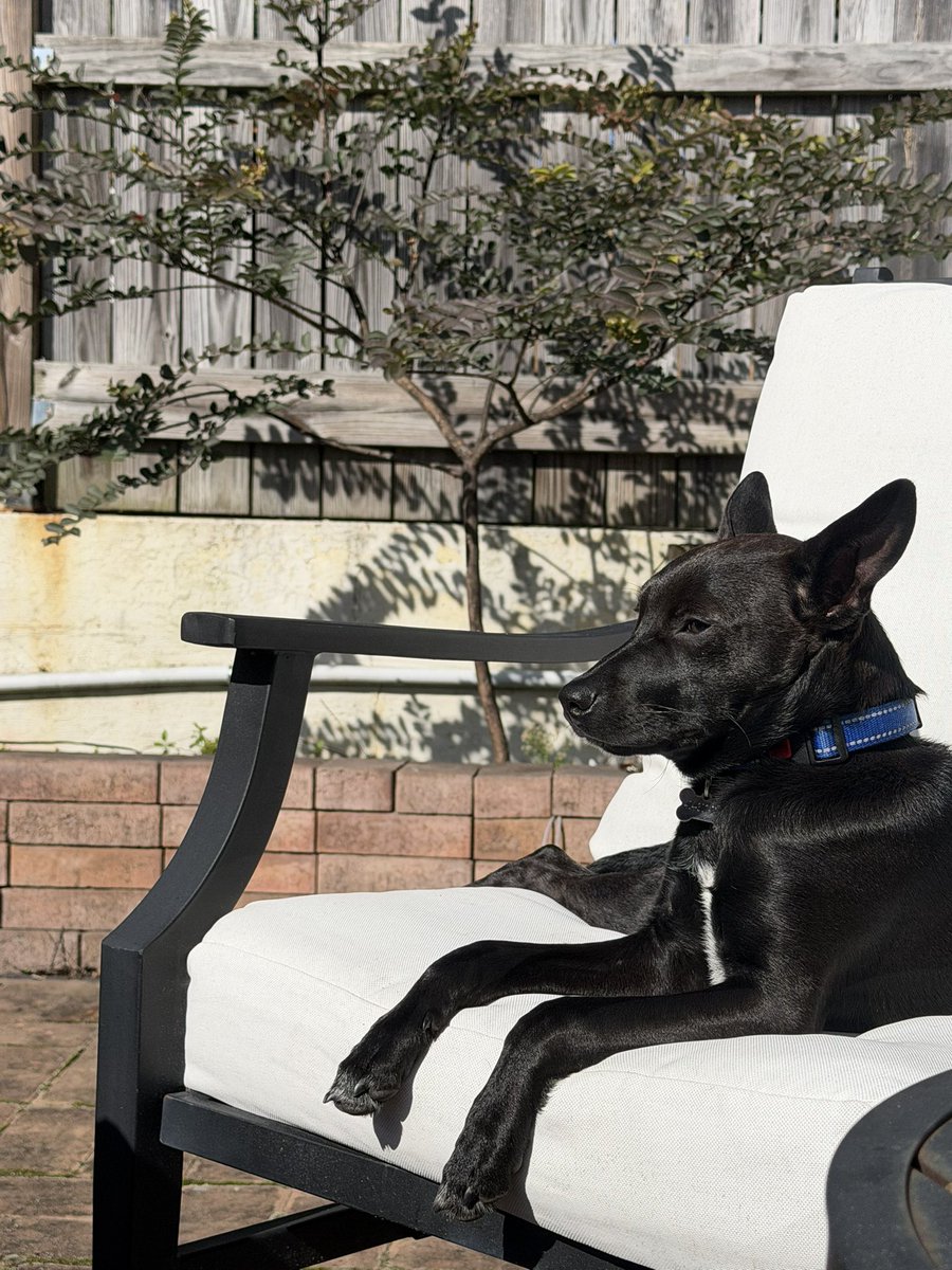 It’s almost Friday. Almost.