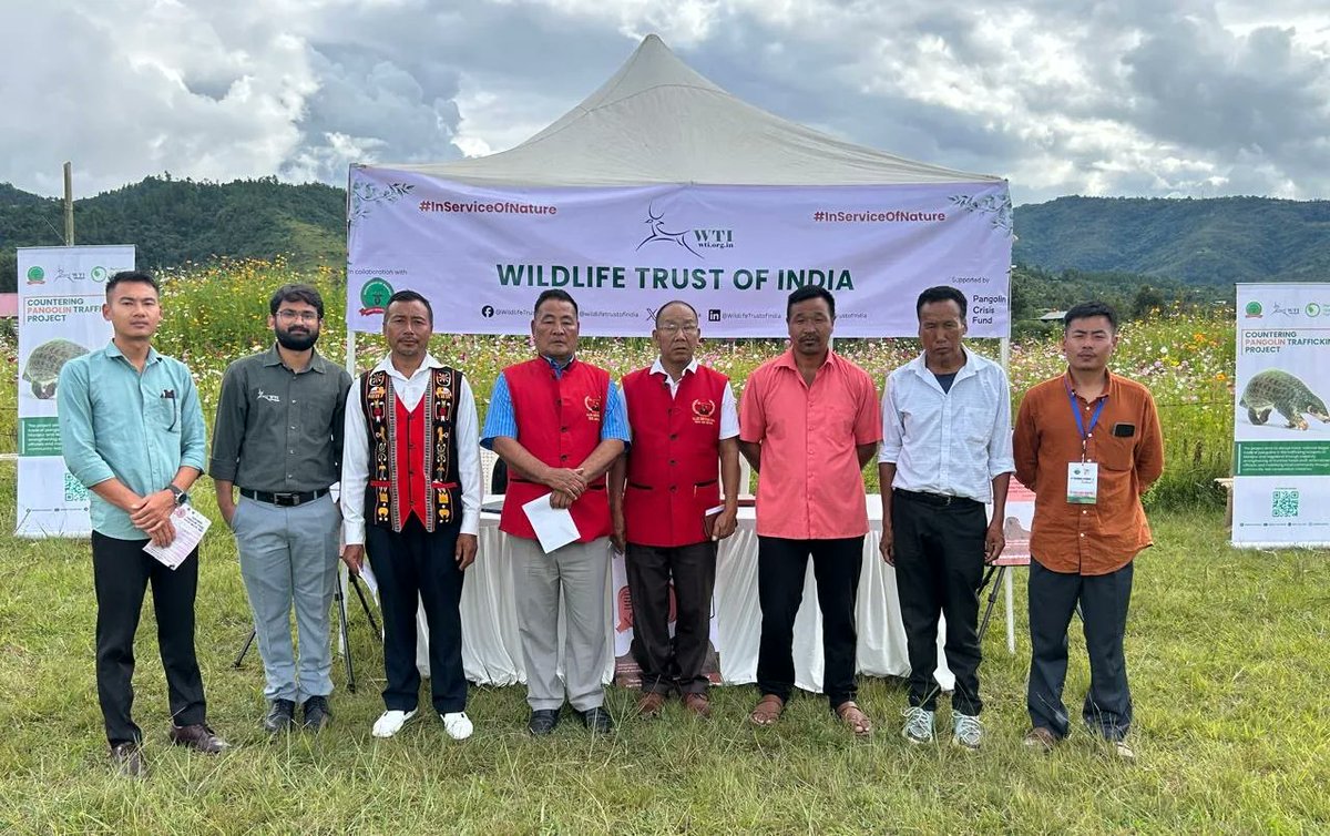 WTI Joins Hands with Cosmos Flower Festival in Manipur, Championing Pangolin Conservation

The Wildlife Trust of India (WTI) joined the Cosmos Flower Festival in Koide, Manipur, to raise awareness on pangolin conservation.
Villagers pledged to ban hunting and trade of the