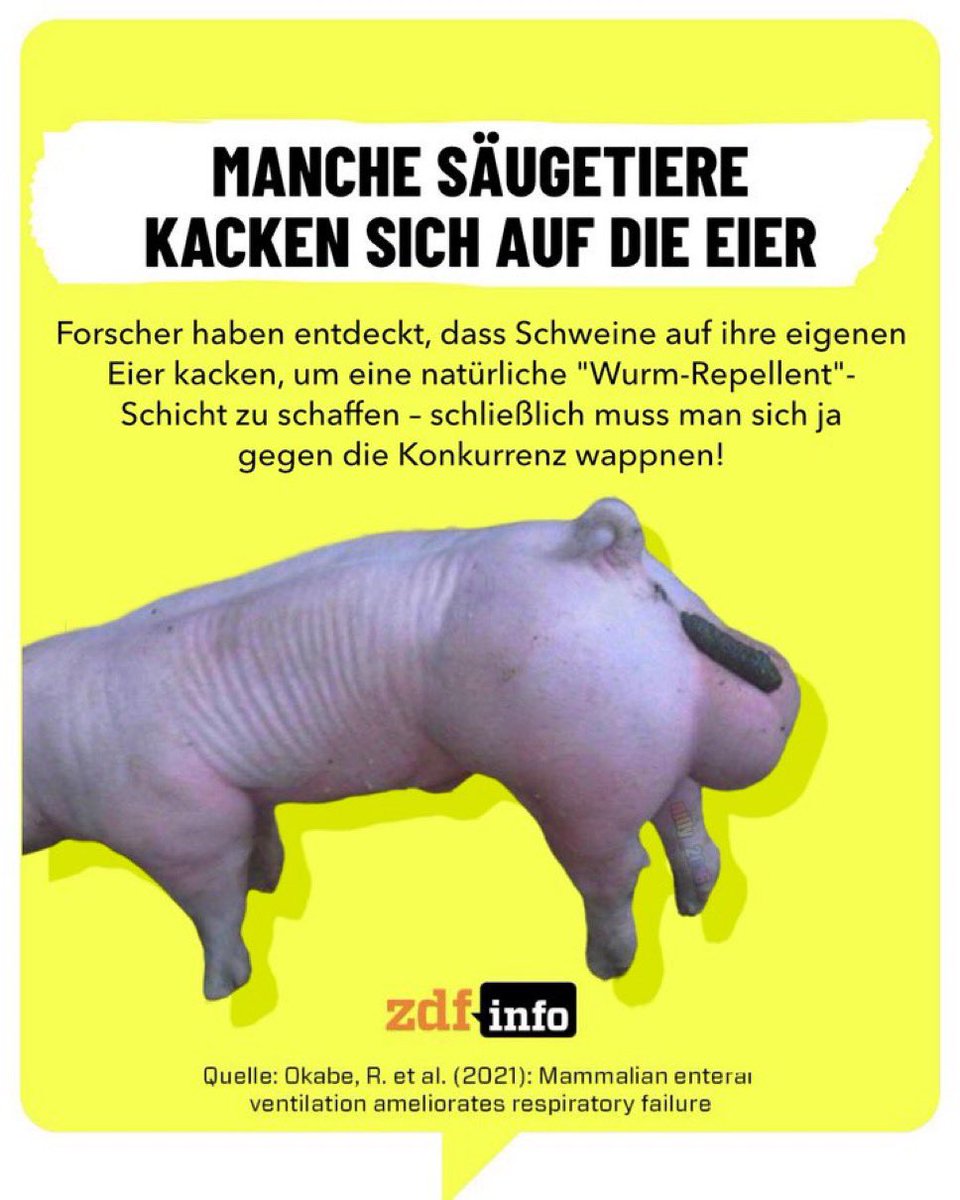 herr knax (satire) tweet media