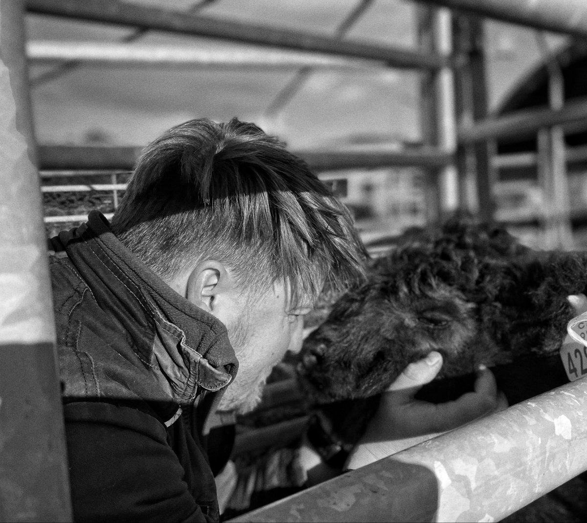 Porody jsou úspěšně za námi 💪