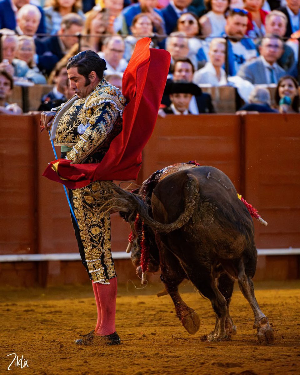 HidalgoSevillano tweet media