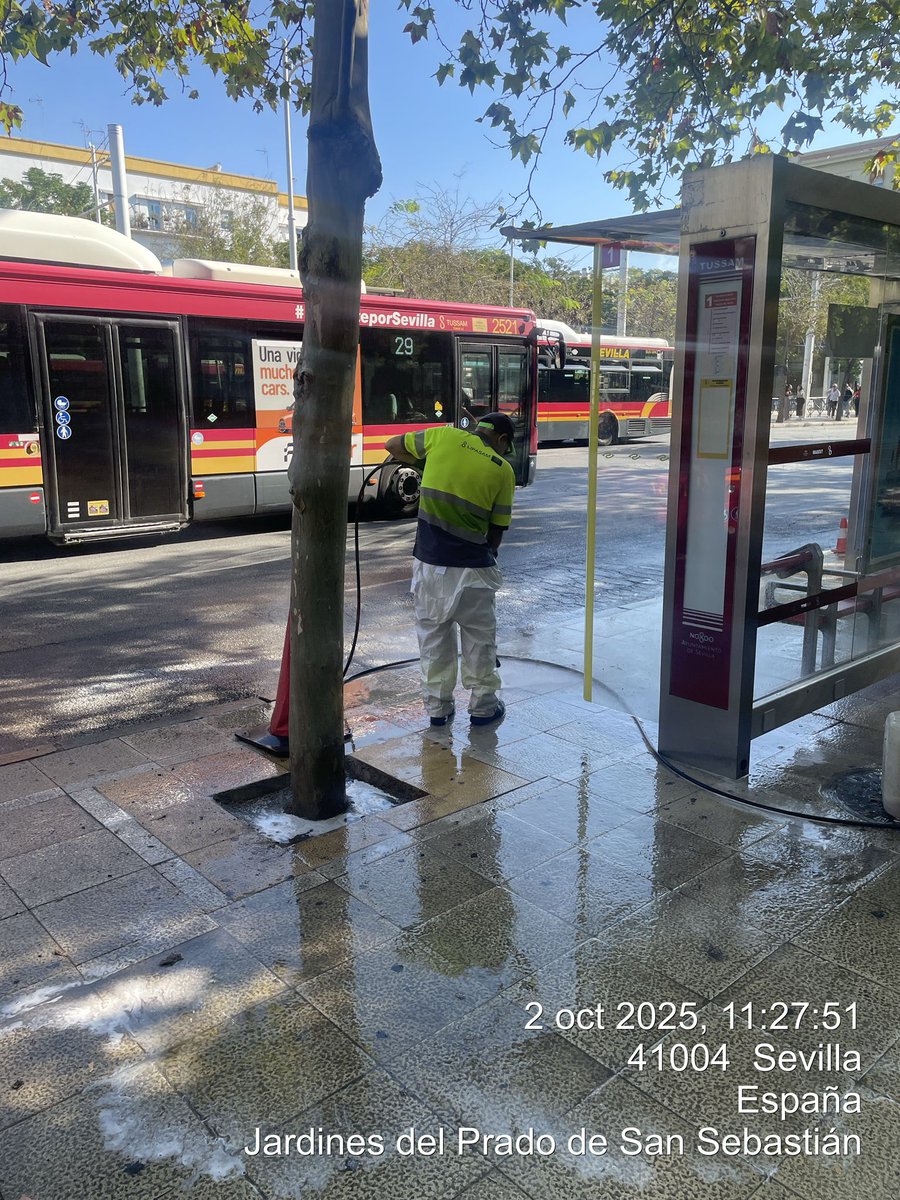 Limpieza a presión en la zona de paradas de autobuses del Prado de San Sebastián para mantener el espacio en óptimas condiciones.
En <a href="/LipasamSevilla/">Lipasam</a> trabajan cada día por una Sevilla más limpia. 🌍✨