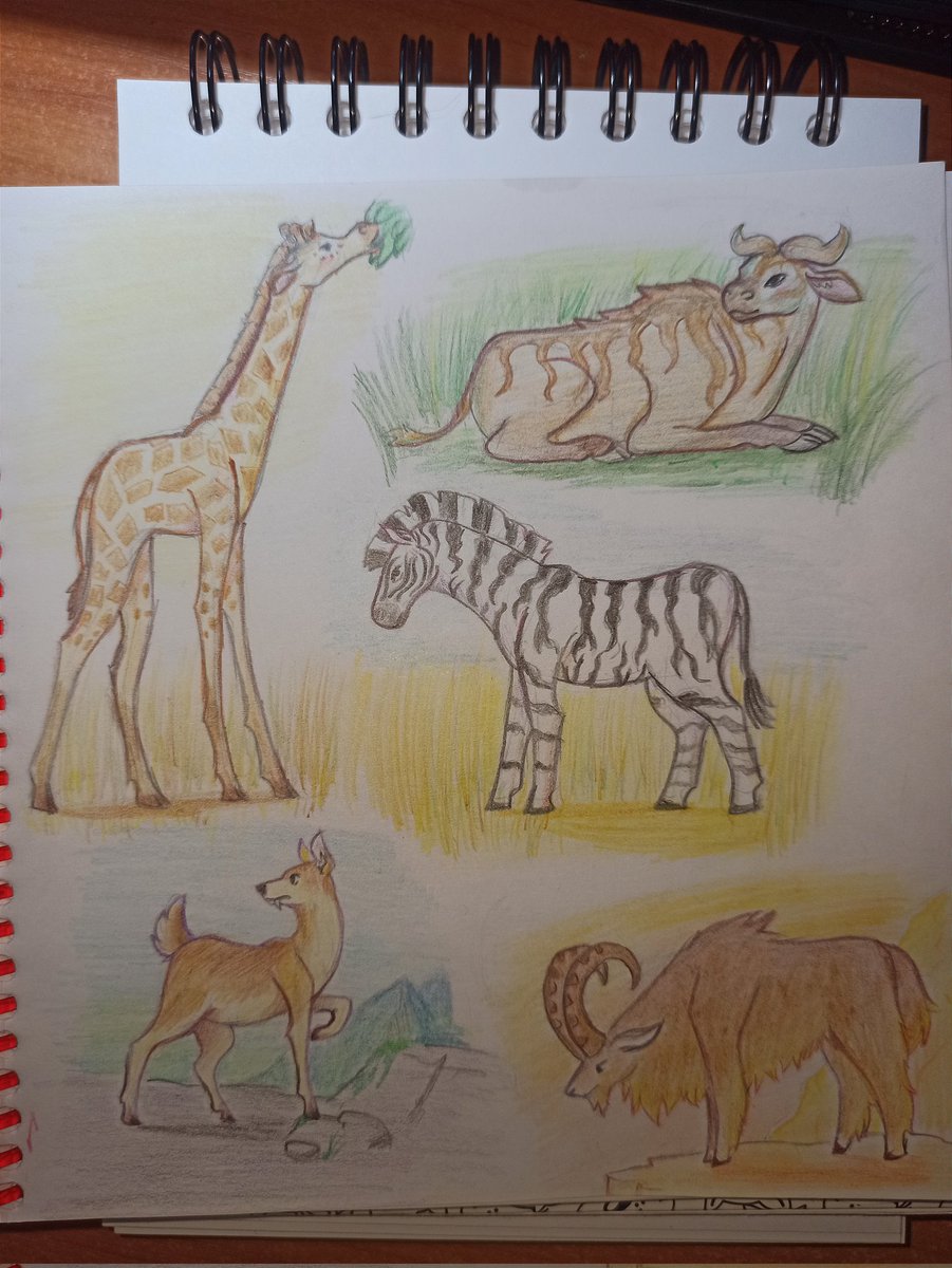 Horushka0w0's tweet photo. Due to prolonged depression, I had to stay in the hospital. I only got away with it for three weeks,but I feel better than ever! While I was recovering,I finally regained my desire to draw. I have a lot of drawings,so I'll be posting them little by little.
#Pencildrawing #animal https://t.co/IlTsXljBYV