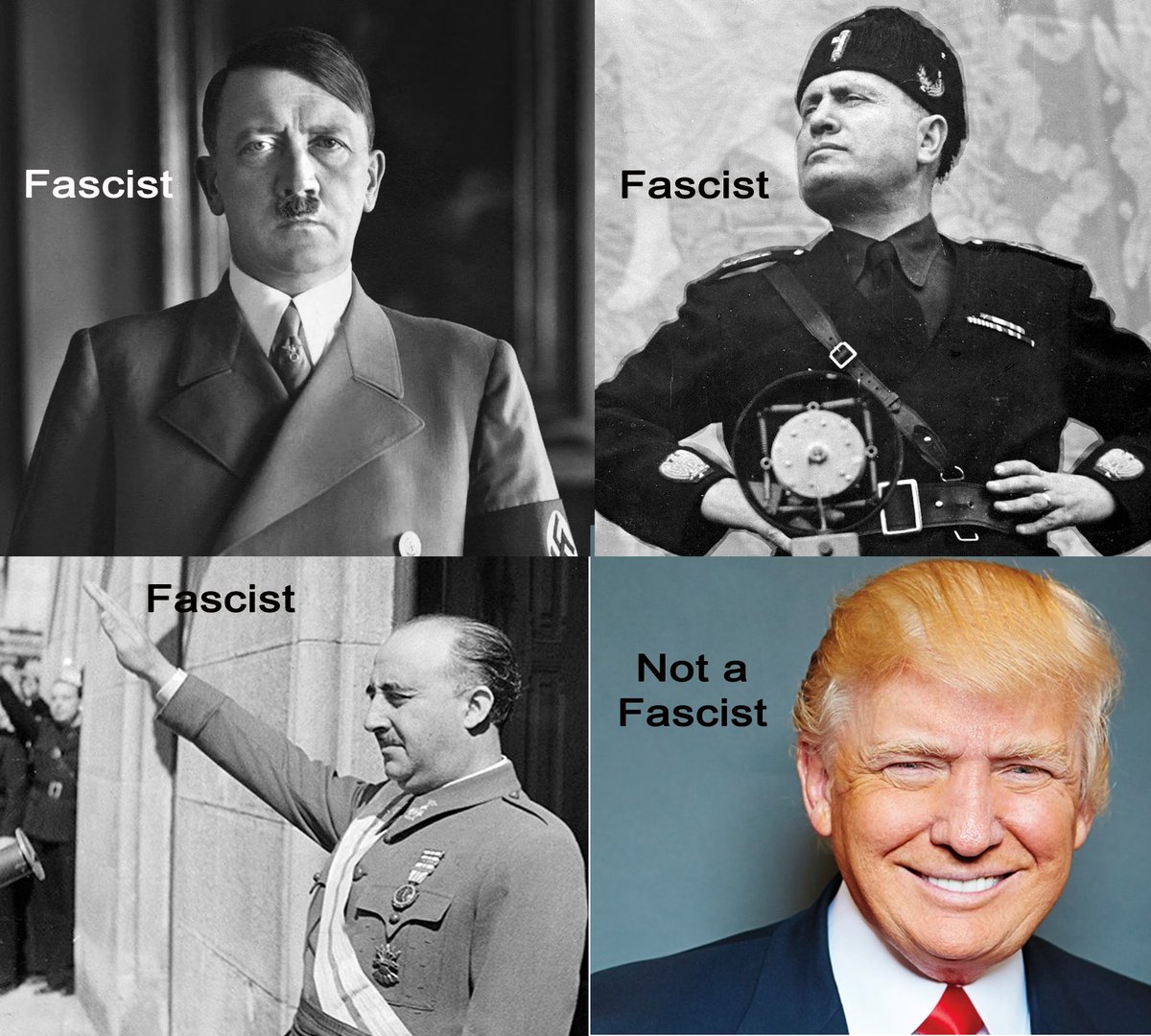 Denis Thomson 🇨🇦 tweet media