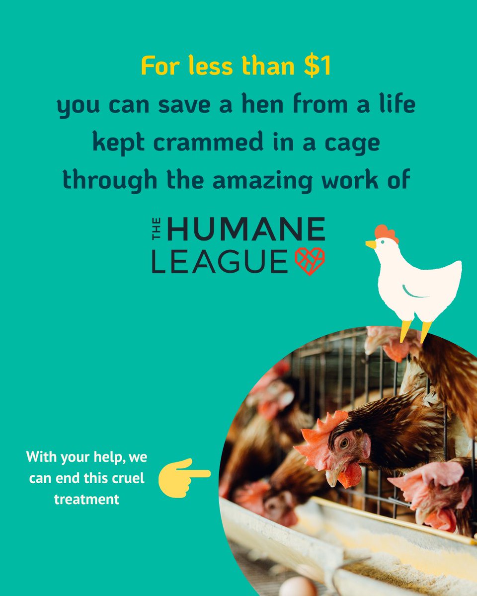 Tig Notaro tweet media