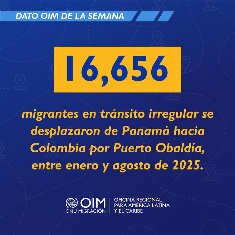 OIM_LAC's tweet photo. ℹ️ Entre enero y agosto de 2025, 16,656 personas en tránsito irregular cruzaron de Panamá hacia Colombia.

Un recordatorio de que los movimientos migratorios en la región no siempre van hacia el norte: también cambian de dirección.

🔗Conoce más en: https://t.co/JAC5NWRFFJ https://t.co/migeLbKcqd