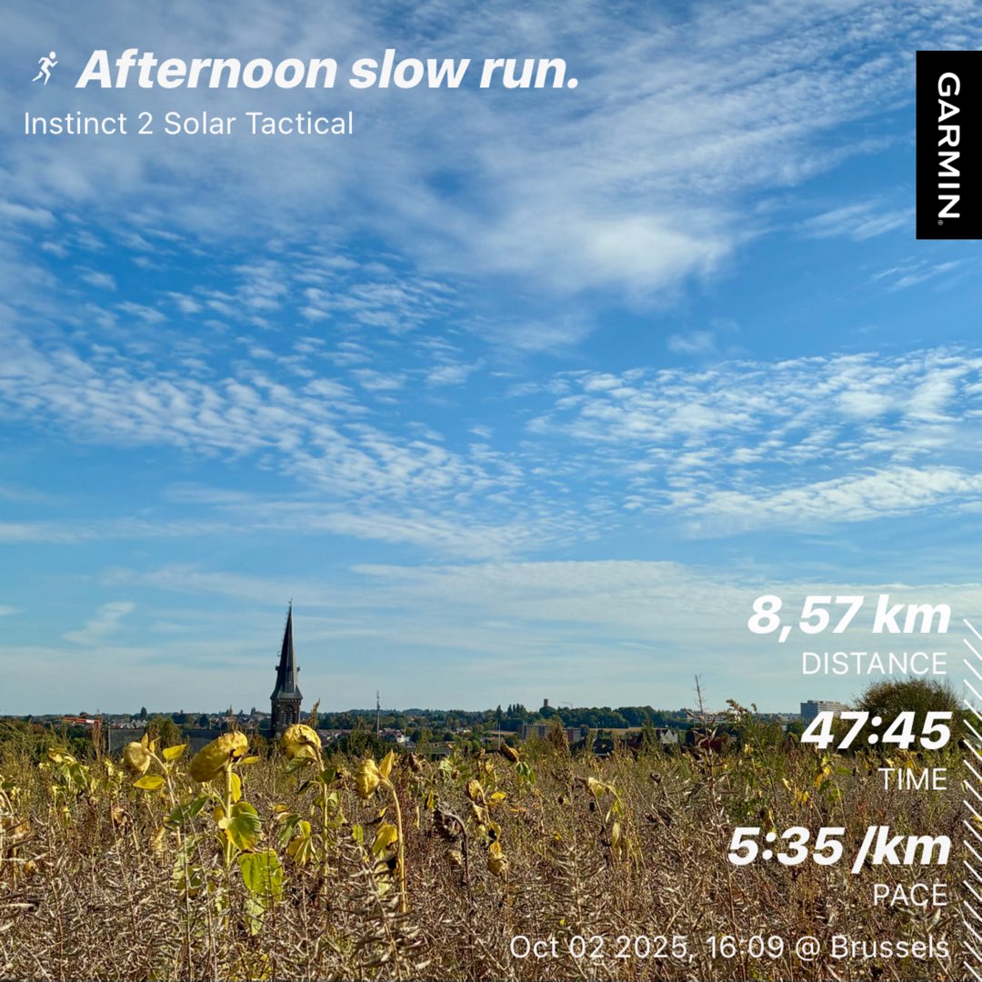 This kind of autumn is much better than the foggy wet one in the morning. 
#BornToRun