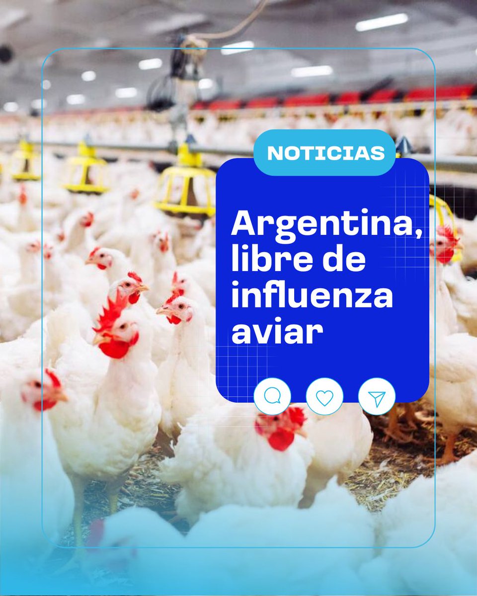 #NoticiasDelDía 🐔

El Senasa dio por finalizado el brote de influenza aviar altamente patógena (IAAP) H5, que había sido detectada en agosto último en aves de granjas comerciales en la localidad de Los Toldos, provincia de Buenos Aires.

Leé la nota completa haciendo click acá