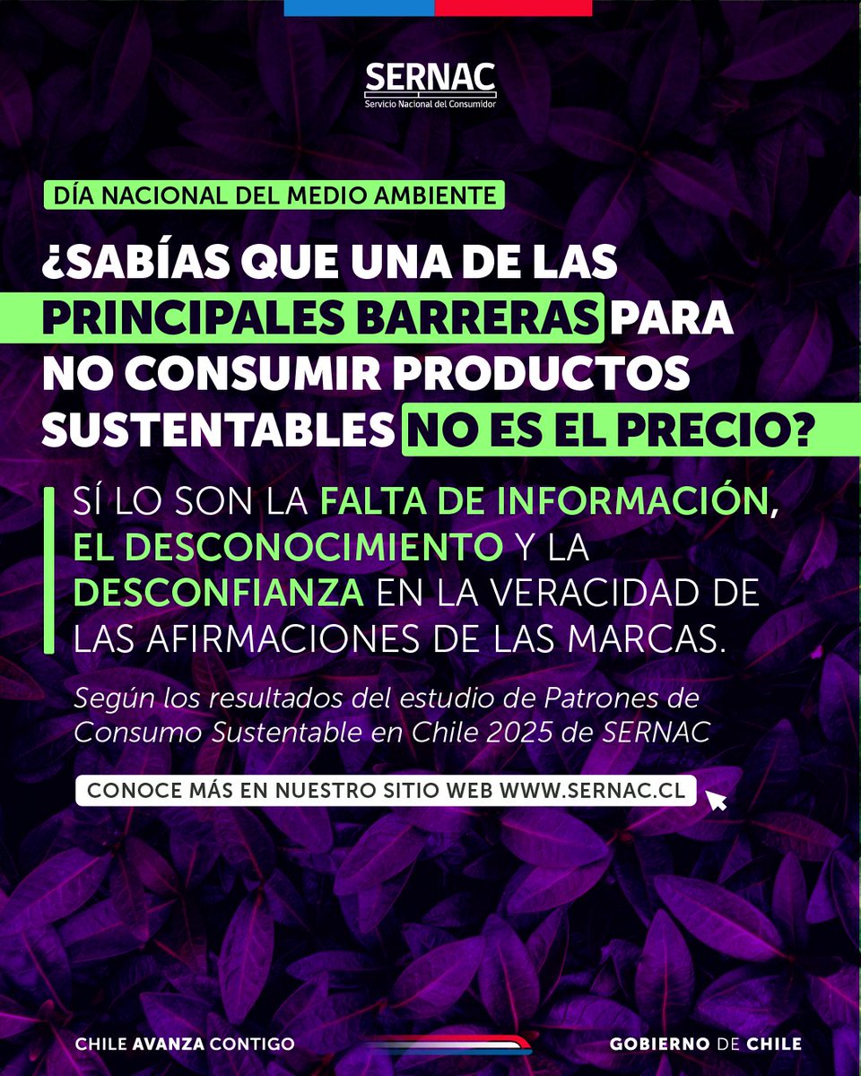 SERNAC's tweet photo. 🍃Accede al estudio de Patrones de Consumo Sustentable en Chile 2025 a través de 👉https://t.co/bbWiR9H48g https://t.co/NWoHC9EXB7