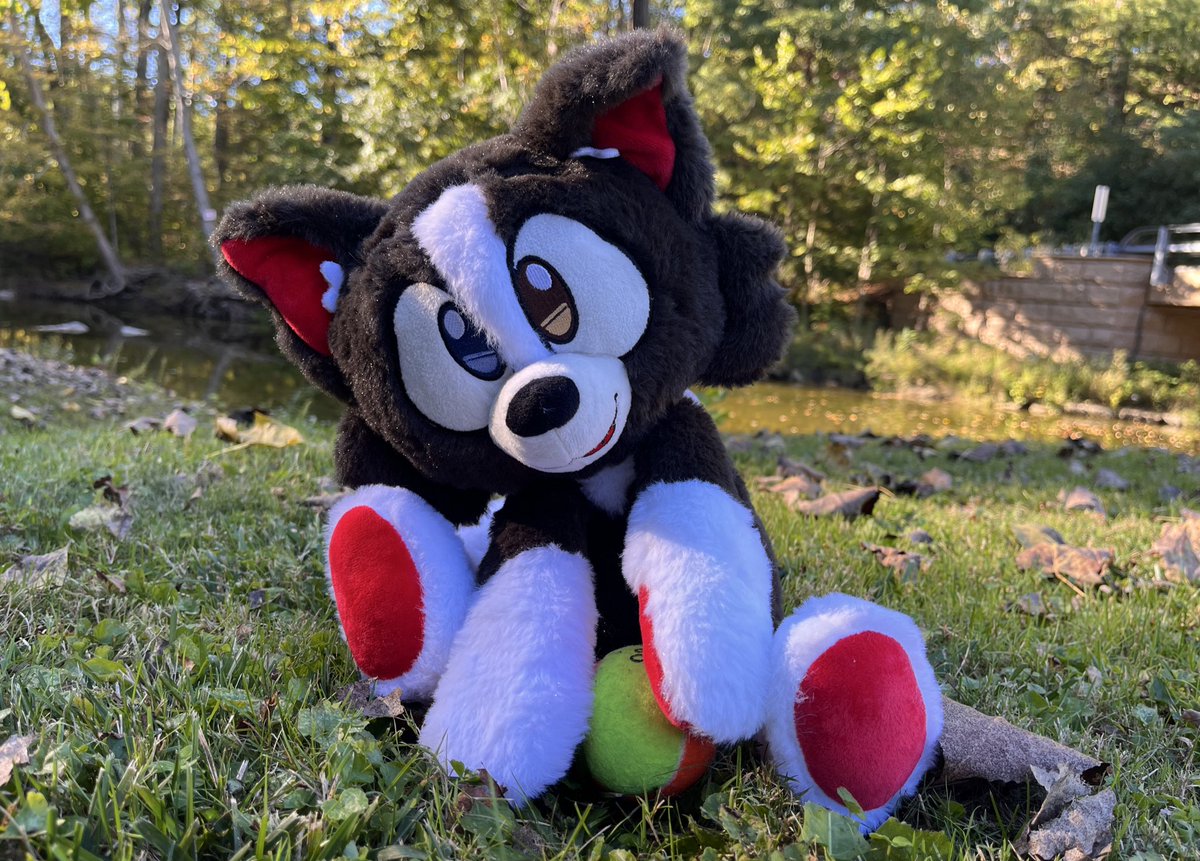 Racket REALLY wants to play with you! He’s might not want to give up the ball tho; hasn’t quite figured out that part of the game yet 😅🎾

This pup’s the next campaign target on the list, can we hit his goal? 🔗 in bio!