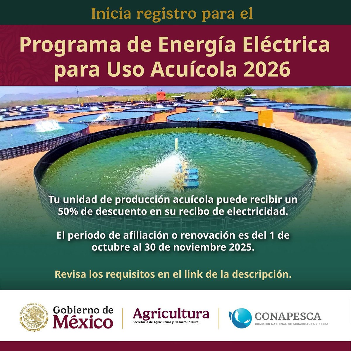 🚨Atención personas productoras acuícolas:
Inicia el registro para el Prgrama de Energía Eléctrica para Uso Acuícola 2026. 

➡️ Consulta más información aquí:
gob.mx/conapesca/acci…