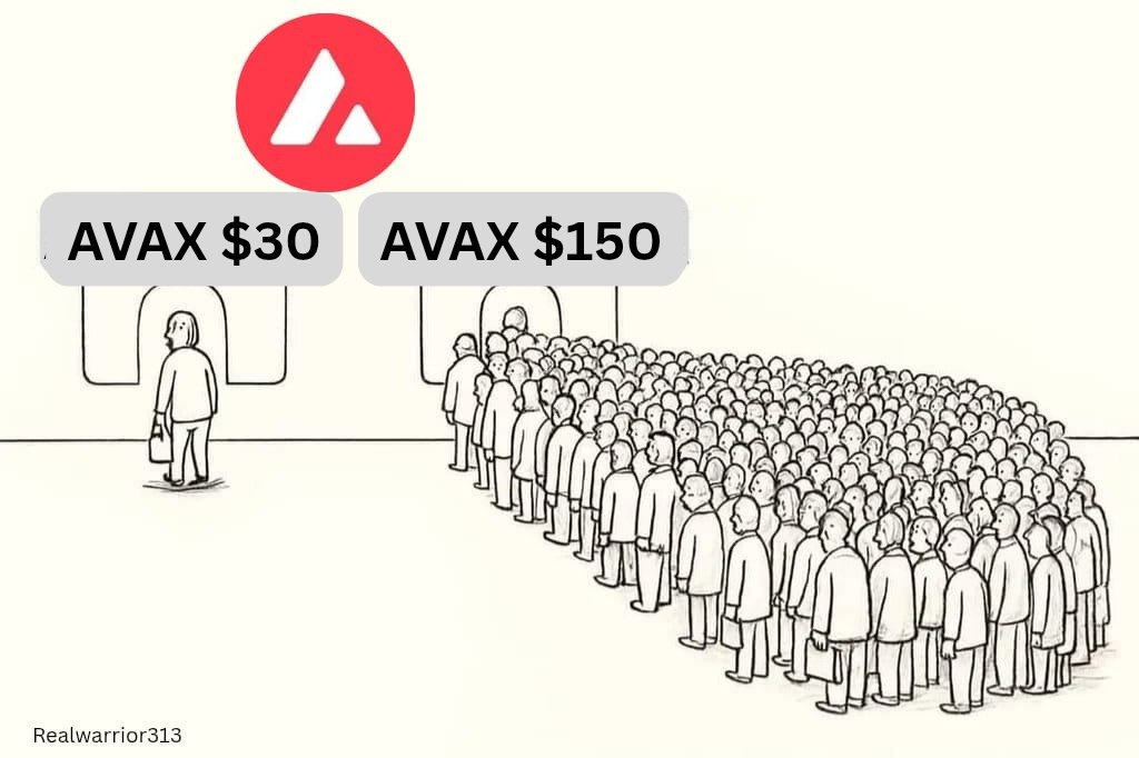 Last call before $AVAX takes off 

Once it flies, you won’t catch it this low again.