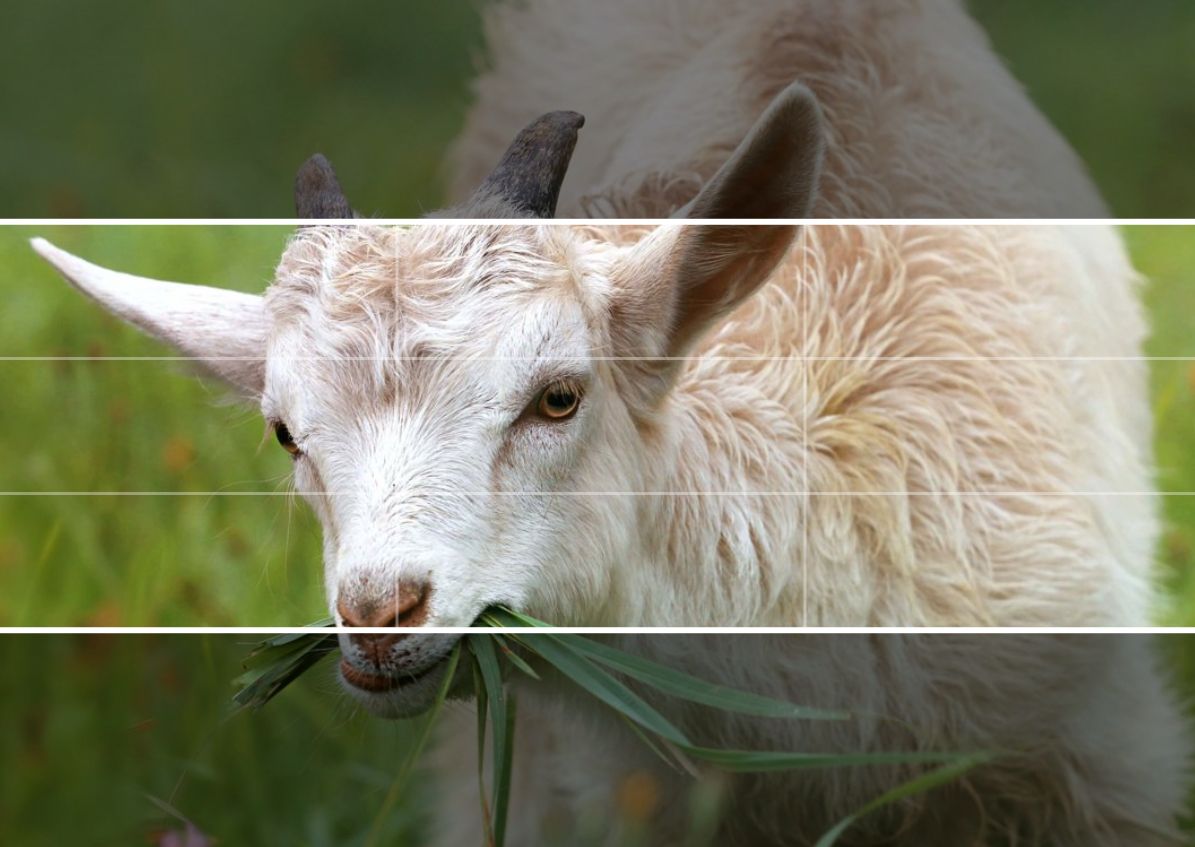 TeamTedCruz's tweet image. Does anyone know how to make this fit our banner?