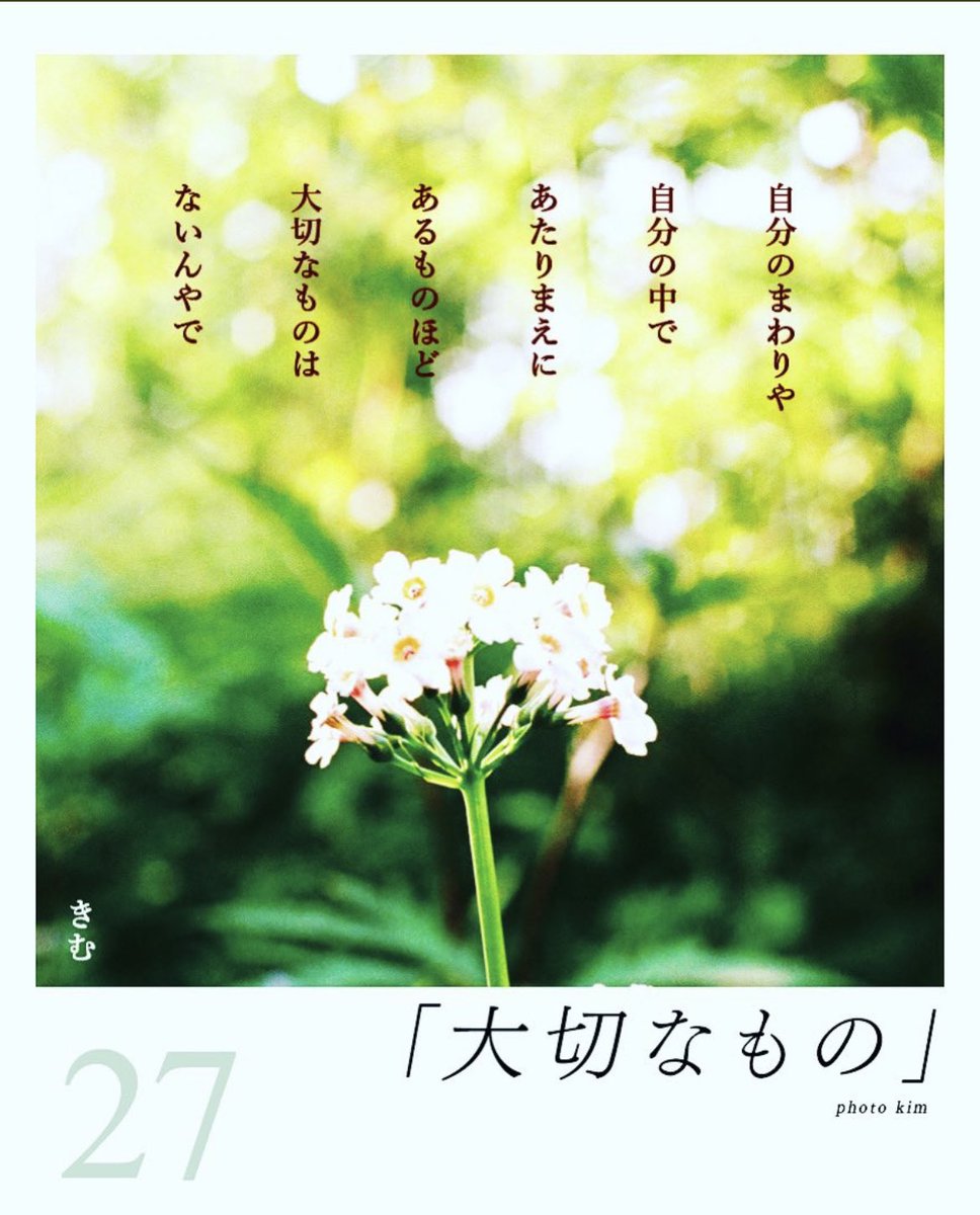 tomotanpopo2525's tweet photo. ぼっち夜勤中。
落ち着いたので
蒲公英歌の配信を
見返してたら
とっても胸がいっぱいに
なって、、、涙がポロポロ
でてきちゃった🥹
蒲公英歌
続けてきて
本当に良かったぁ。
#蒲公英歌
#vol23
#12月14日
#栄CIRCUS
#GETBILLMONKEYSさん
#アマイオクスリさん
#みみみ食堂さん https://t.co/sAyWhDTX7s