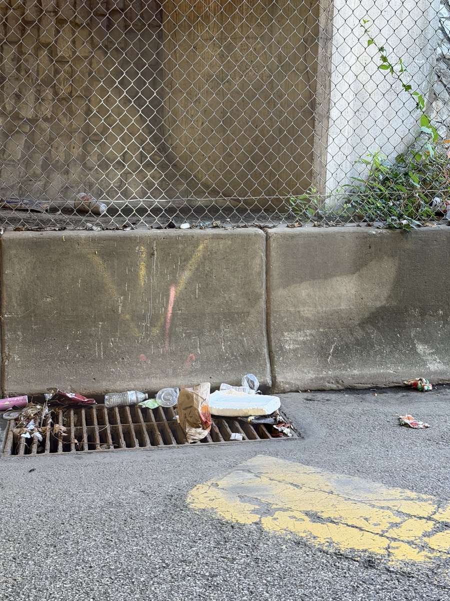 JamisonCombs's tweet photo. @Allegheny_Co @Pittsburgh @TheNextPGH Is there a reason this isn’t being cleaned weekly? It’s a horrible first impression when entering the city. A leaf blower and a street sweeper would do wonders. https://t.co/z4pTlQWfvC