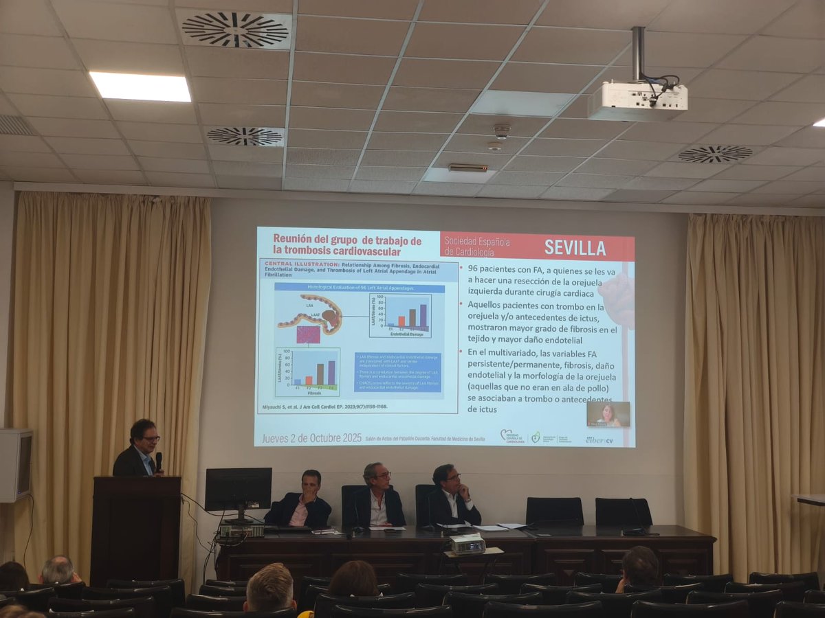 gtcv_ffis_imib's tweet photo. En Sevilla, compartiendo conocimiento con grandes profesionales en la Reunión del Grupo de Trombosis Cardiovascular de  @secardiologia 🩺🫀

#Trombosis #Cardiología #SEC2025 #CIBERCV https://t.co/jxi9mG8dNI