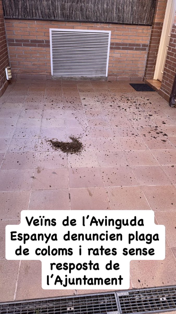 Veïns de l’Av. Espanya (Parets) han contactat amb Podem Parets per denunciar la plaga de coloms i rates que arriben fins dins de casa seva. L’Ajuntament encara no ha respost. Exigim actuació urgent! 
#Parets