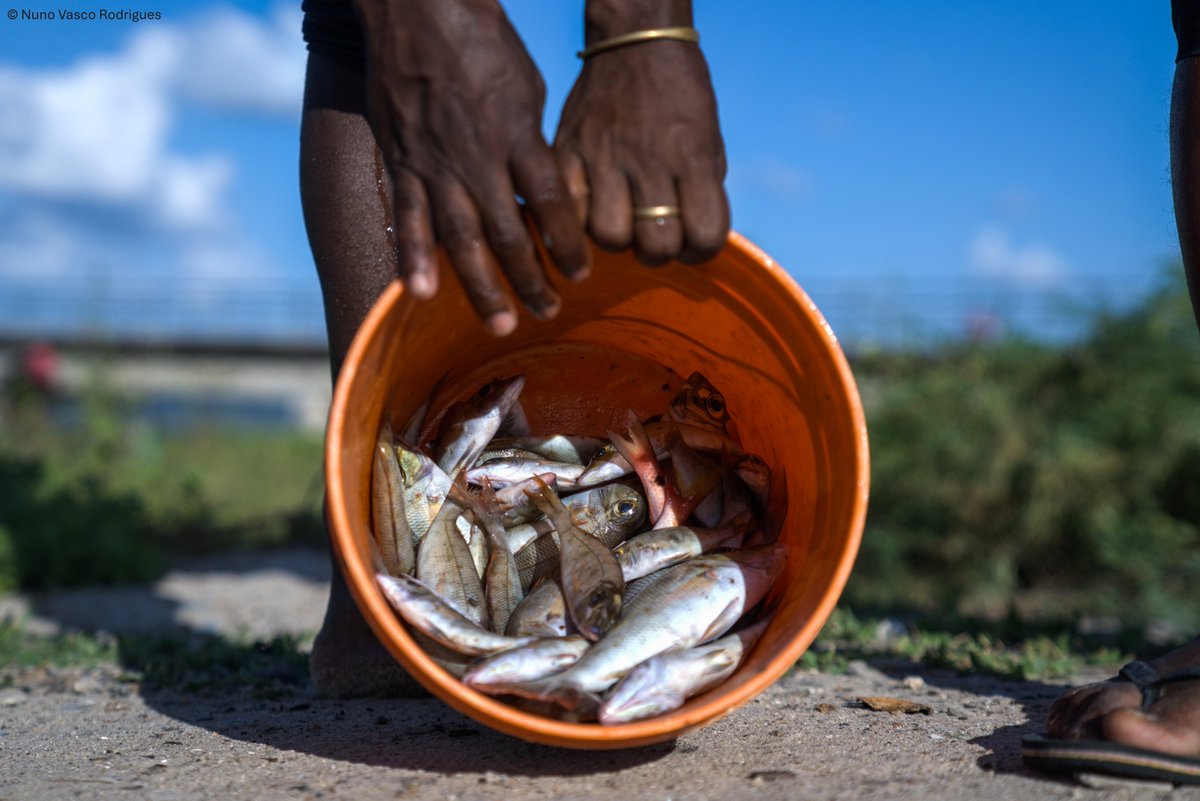 OurSeaOurLife's tweet photo. Now in Nampula, with AMA &amp; partners under #OCEAN funding, we’re scaling this work: connecting people, coasts &amp; conservation for a sustainable future. 🌱🌍 [3/3] https://t.co/zfS3Nk49IA
