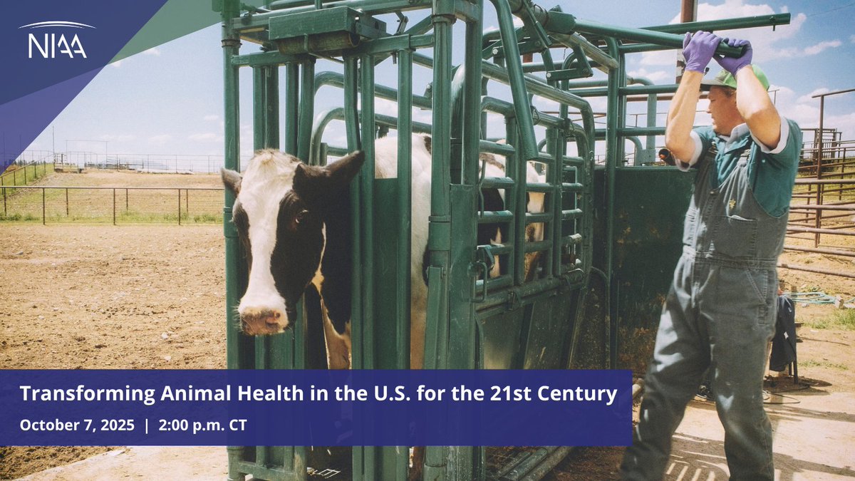 Join NIAA on October 7 at 2 p.m. central to hear from the Reagan-Udall Foundation for the FDA about its report on Transforming Animal Health in the U.S. for the 21st Century. Learn more and register here. >> animalagriculture.app.neoncrm.com/np/clients/ani…