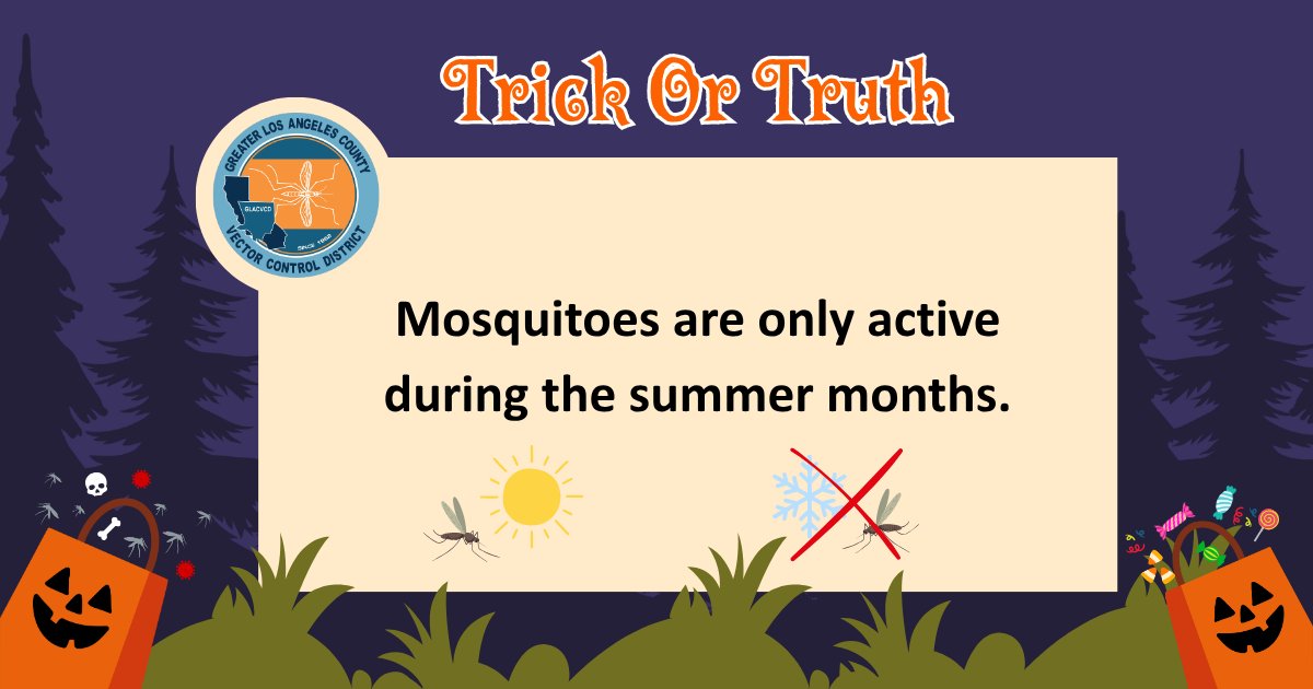 GLAmosquito tweet media