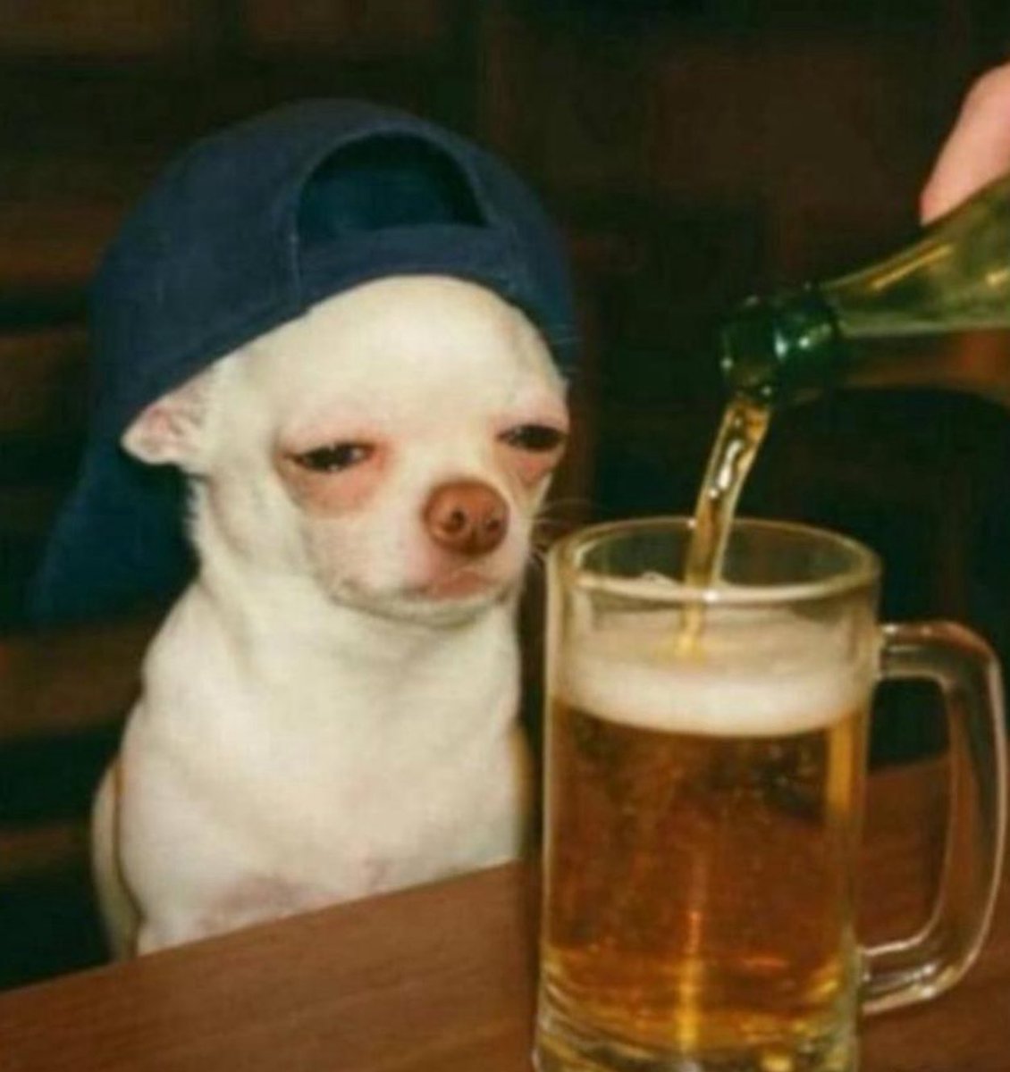 Tech Surgeon tweet media