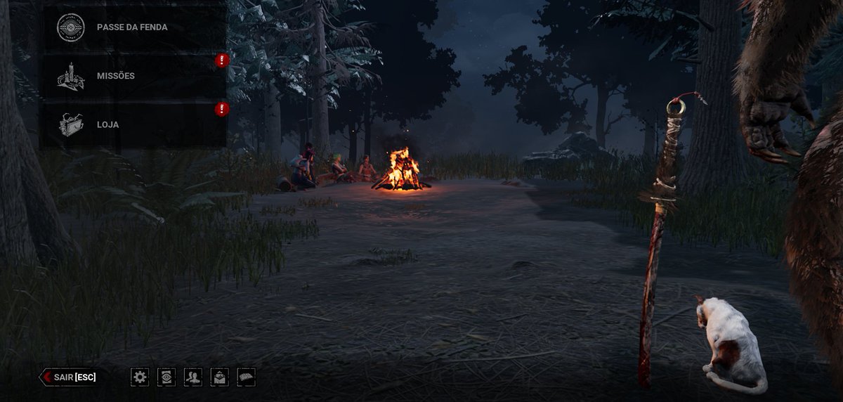 Procyonico tweet media