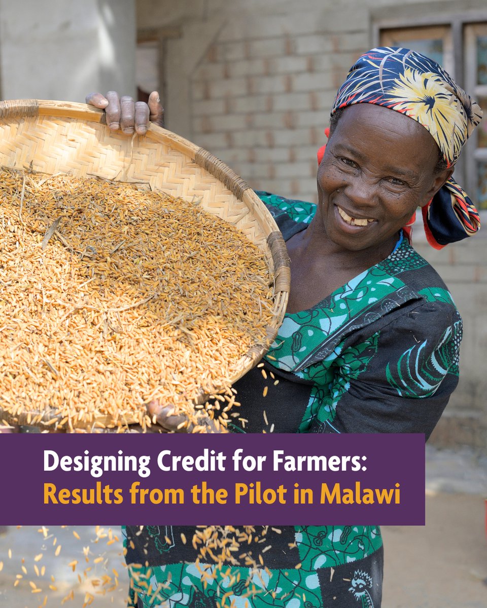 MicroLoanUSA's tweet photo. MicroLoan Malawi, alongside Grameen Crédit Agricole Foundation and Amarante Consulting, introduced the Phindu Agricultural Loan Pilot, designed to expand meaningful financial inclusion for rural smallholder farmers. Read more here: https://t.co/MZjPe9qifC #Finclusionweek https://t.co/oNoDSsMt5P
