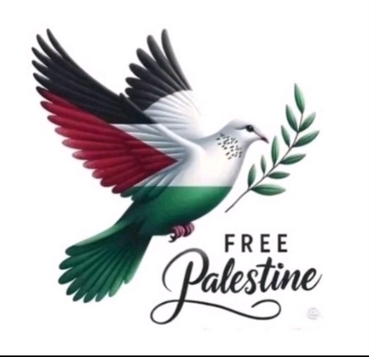 ElPensante45's tweet photo. LIBERTAD LIBERTAD LIBERTAD.  ES AHORA O NUNCA CUANDO EL MUNDO TIENE QUE HACERCE SENTIR EN CONTRA Él GENOCIDA SIONISTA  NETANYAHU EL NO PUEDE COARTAR LA LIBERTAD DE LOS PUEBLOS UNIDOS QUE EXIGIMOS PAREN LA MATANZA  (YA)🙏🙏🙏 https://t.co/U51bEpDIS0