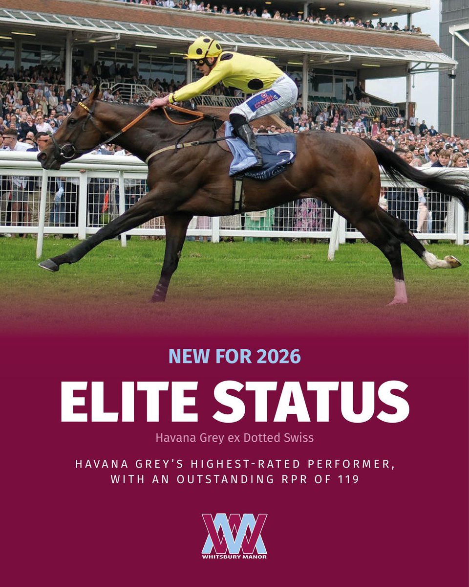 Whitsbury Manor Stud tweet media