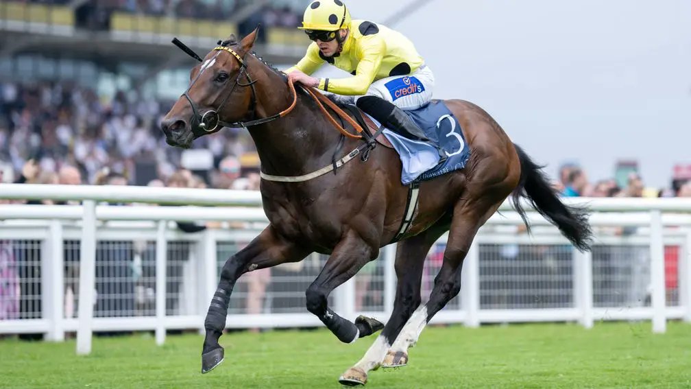 Racing Post Bloodstock tweet media