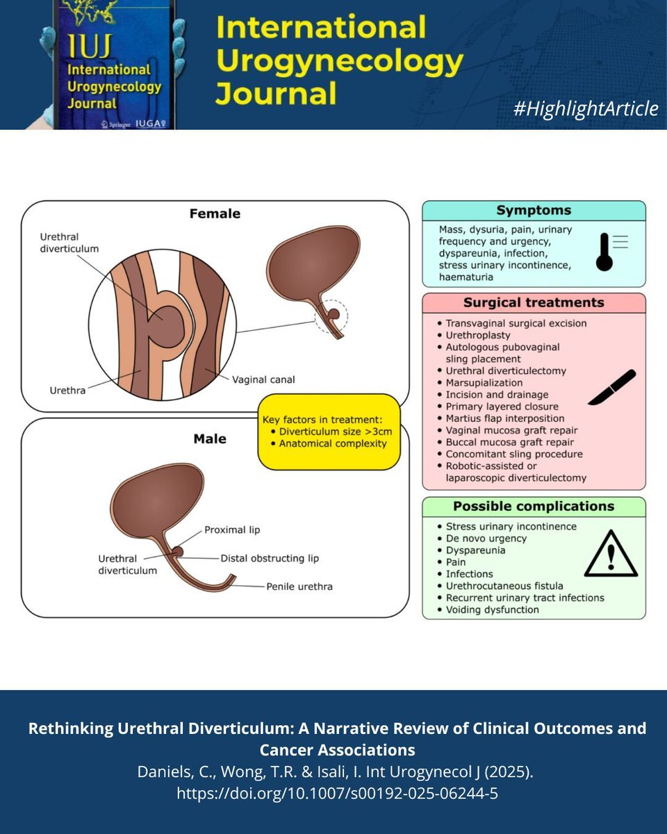 #HighlightArticle: Everything and more that you wanted to know on urethral diverticulum can be found in this narrative review published in #iuj_bluejournal!

📌 link.springer.com/article/10.100… 

@clinmedjournals <a href="/iugaoffice/">International Urogynecological Association (IUGA)</a>

#urogynecology #iuj_bluejournal #urethraldiverticulum