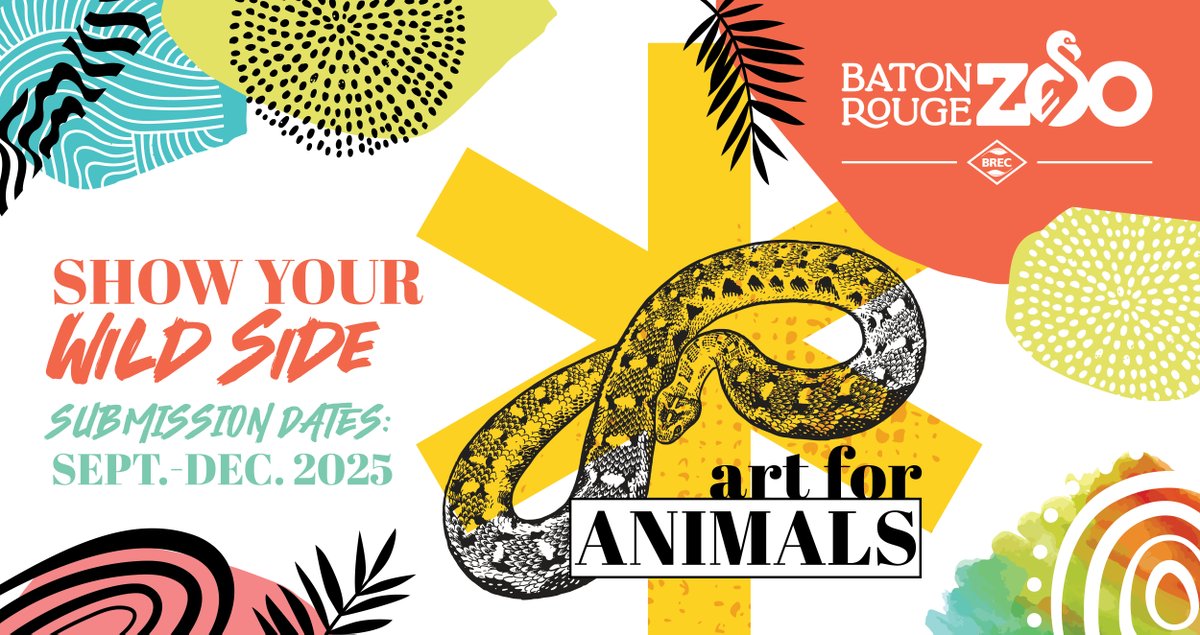 91.1 KLSU FM tweet media