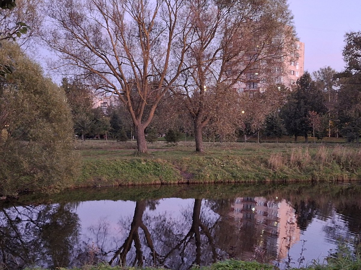А вот тоже просто так... Вечернее деревце и прудик в Буферном парке😉