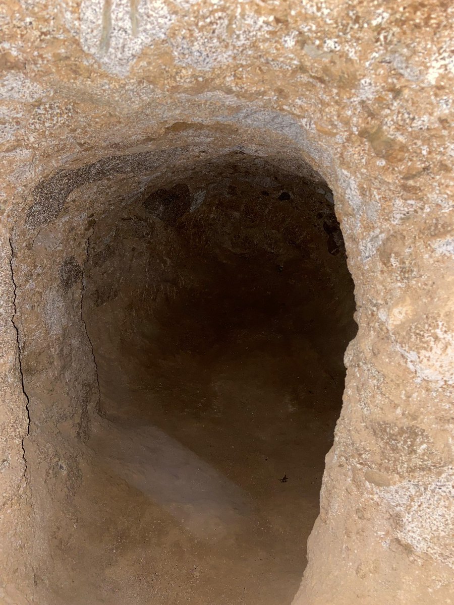 بھارتی اسپانسرڈ دہشت - گرد مقامی آبادیوں میں چھپ کر وار کرتے ہیں
#باجوڑمیں_خفیہ_سرنگیں