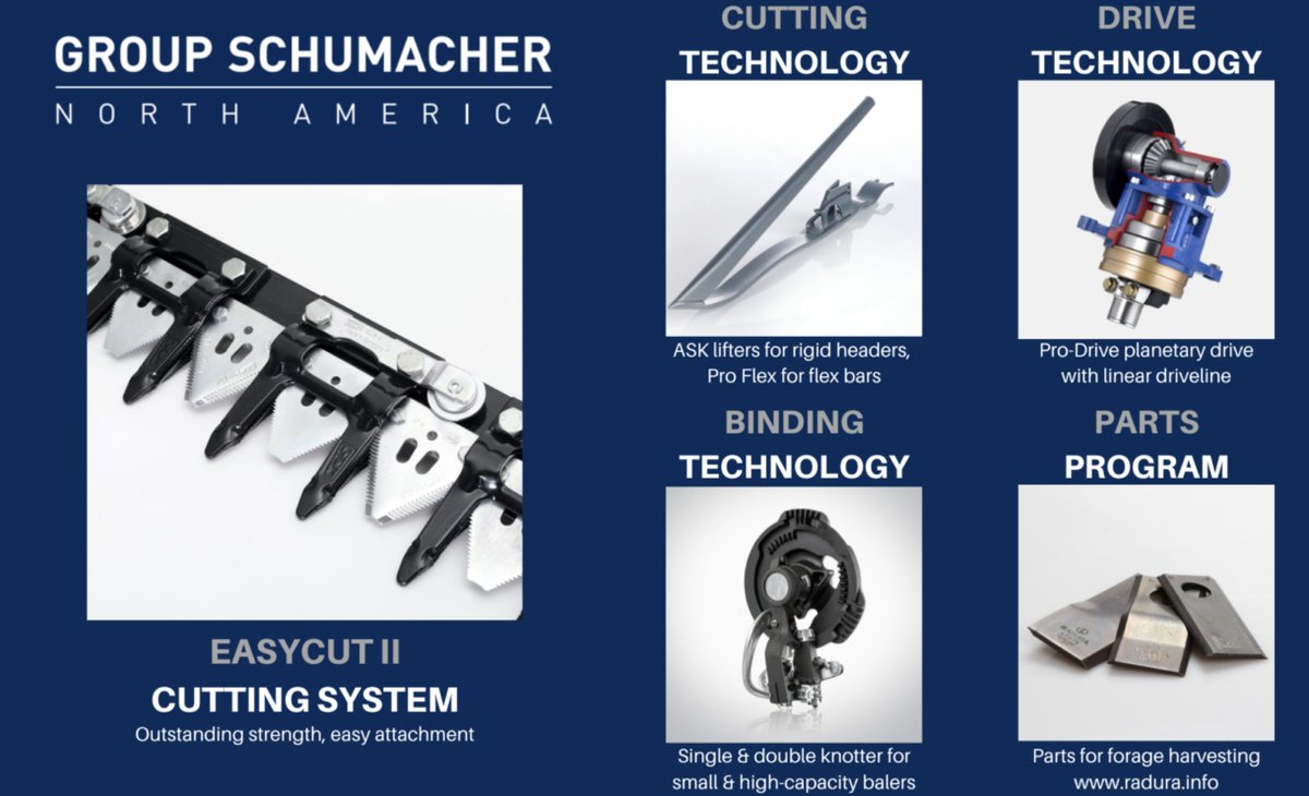 The Book tweet media