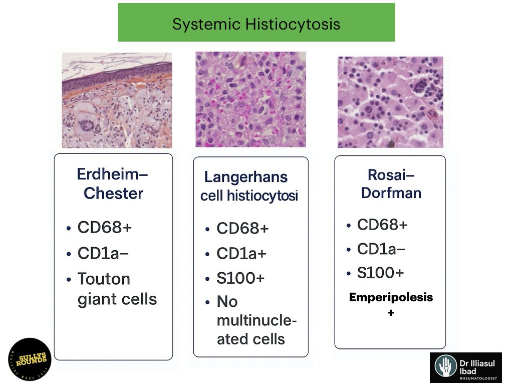 ILLIASUL IBAD tweet media