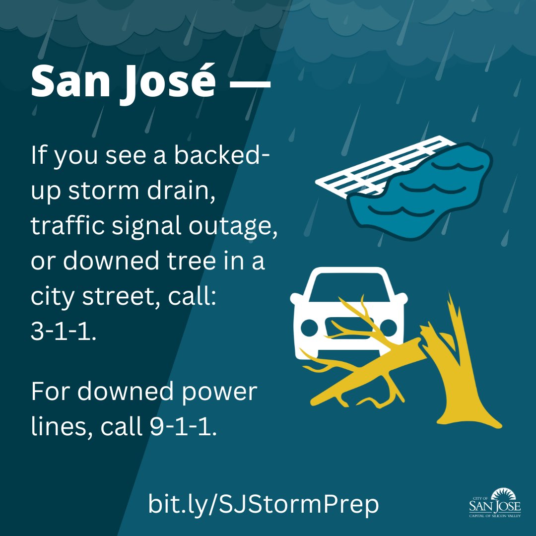 Report backed-up storm drains, traffic signal outages, or downed trees on city streets to 3-1-1.

For downed power lines, call 9-1-1.