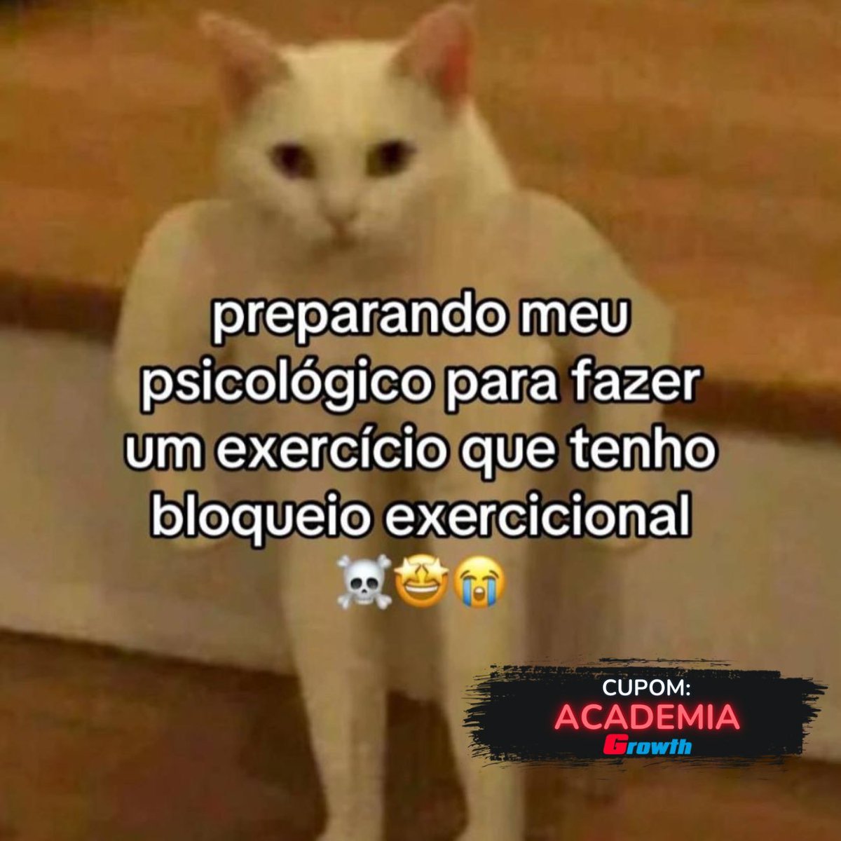 foraacademia's tweet photo. https://t.co/fQQZL7lPQq