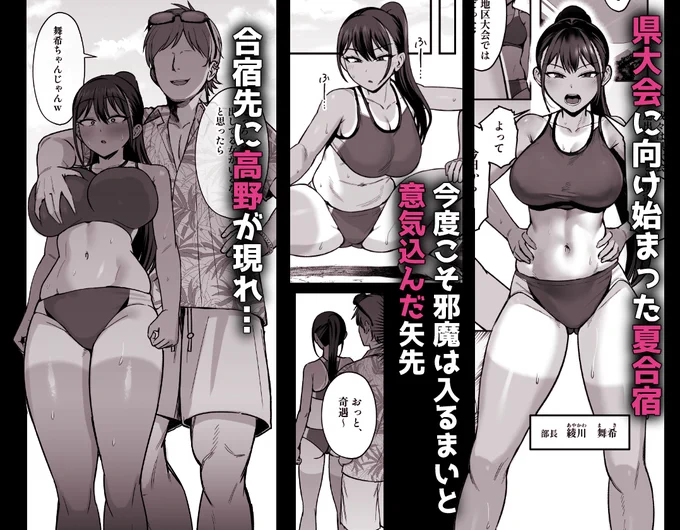 サンプル 