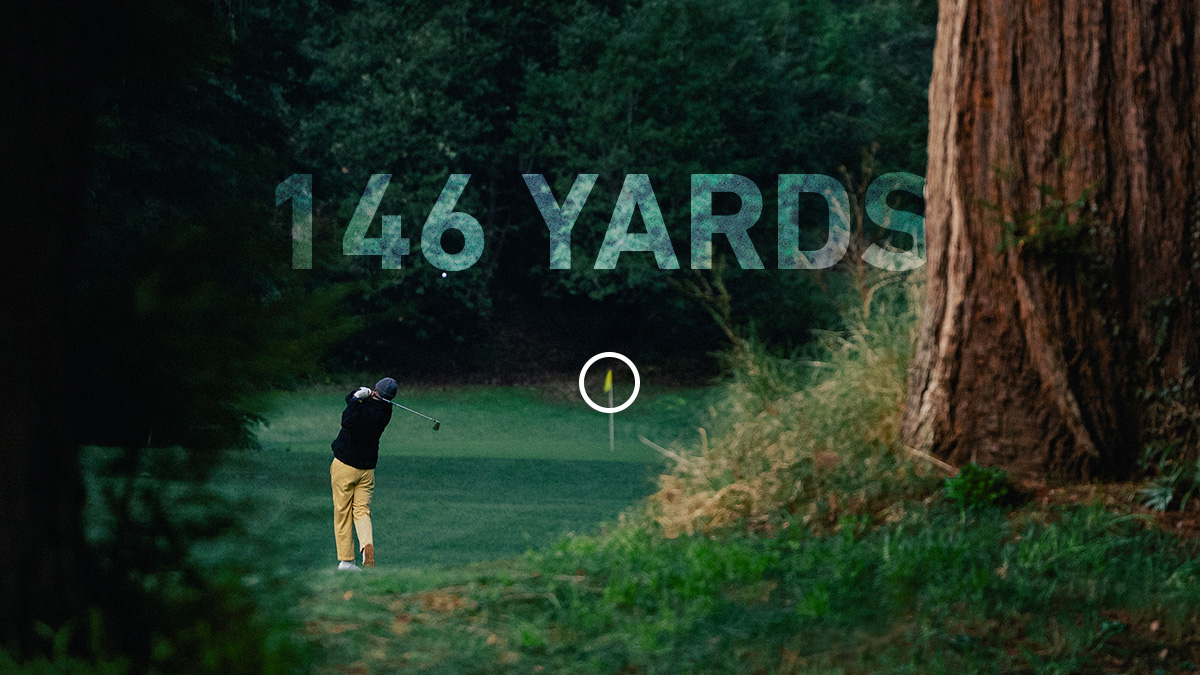 Your Garmin GPS says 146 yards to the pin. No wind. 💨

What club is in your hands for this shot?