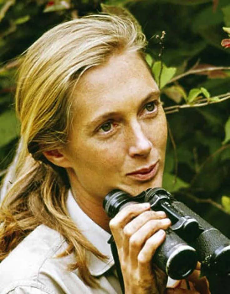 “Change happens by listening and then starting a dialogue with the people who are doing something you don't believe is right. ”

~ Dame Jane Goodall.