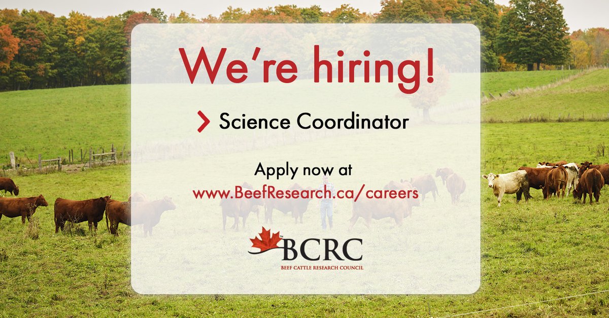 Beef Cattle Research Council tweet media