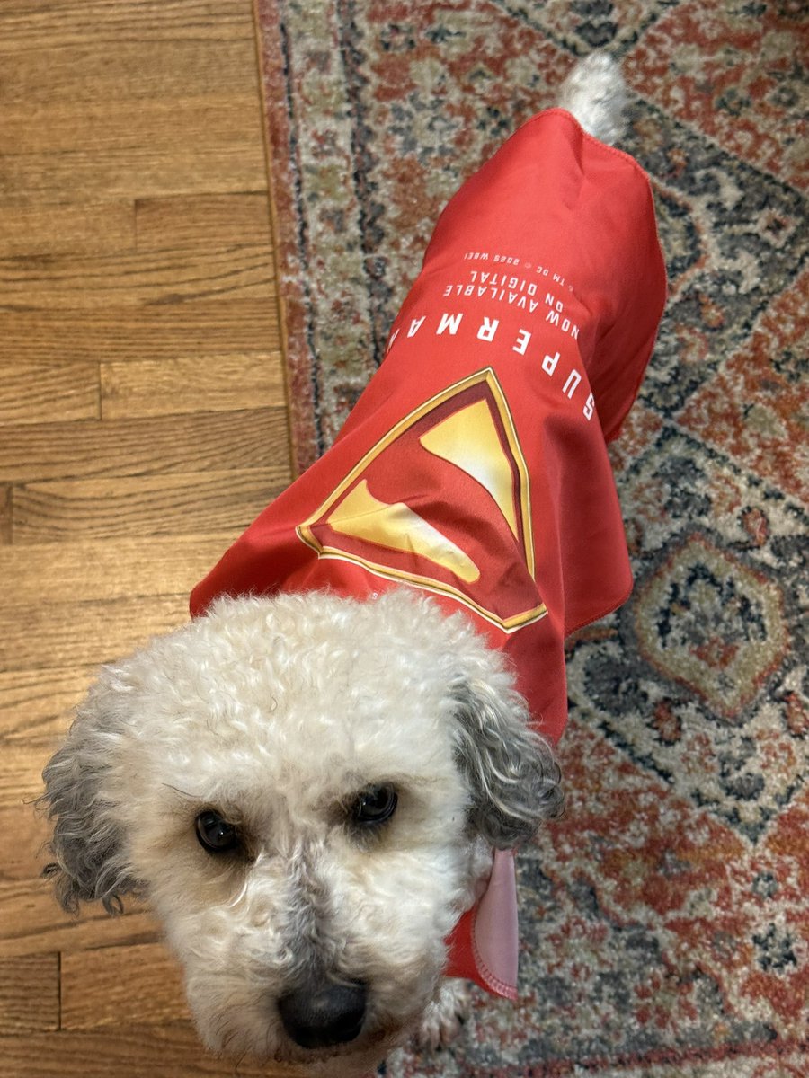 Got this super cool box from <a href="/WBHomeEnt/">Warner Bros. Entertainment</a> today! And it even came with a cape for my guy, Dexter. 

<a href="/Superman/">Superman</a> is available on 4K and digital now! #gifted