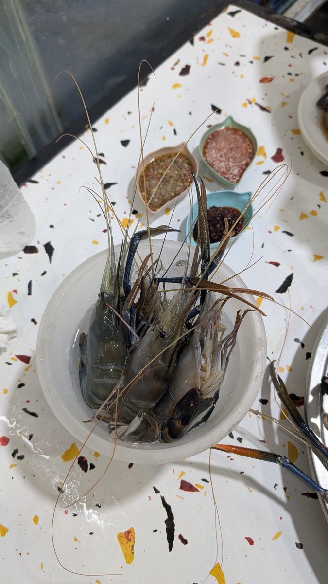 andreqve's tweet photo. Anjay makan ayce seafood di Bangkok 300rban kaya udah makan sampai gak kuat.

Gak ada limit waktu, udangnya ngambil sendiri dan ada yangmasih hidup. Mana dapat durian montong. Gokil. https://t.co/mCyFKOnvbX