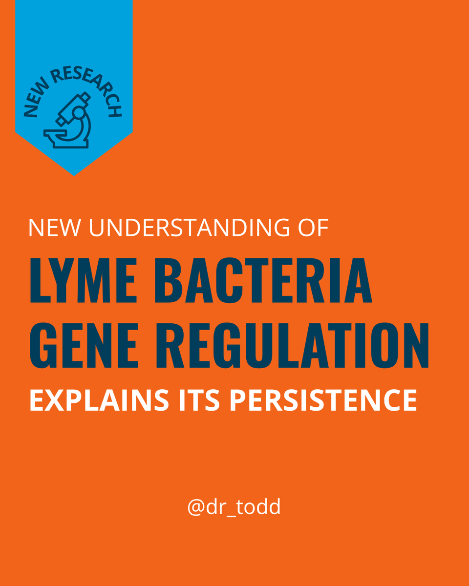 Todd Maderis, ND tweet media