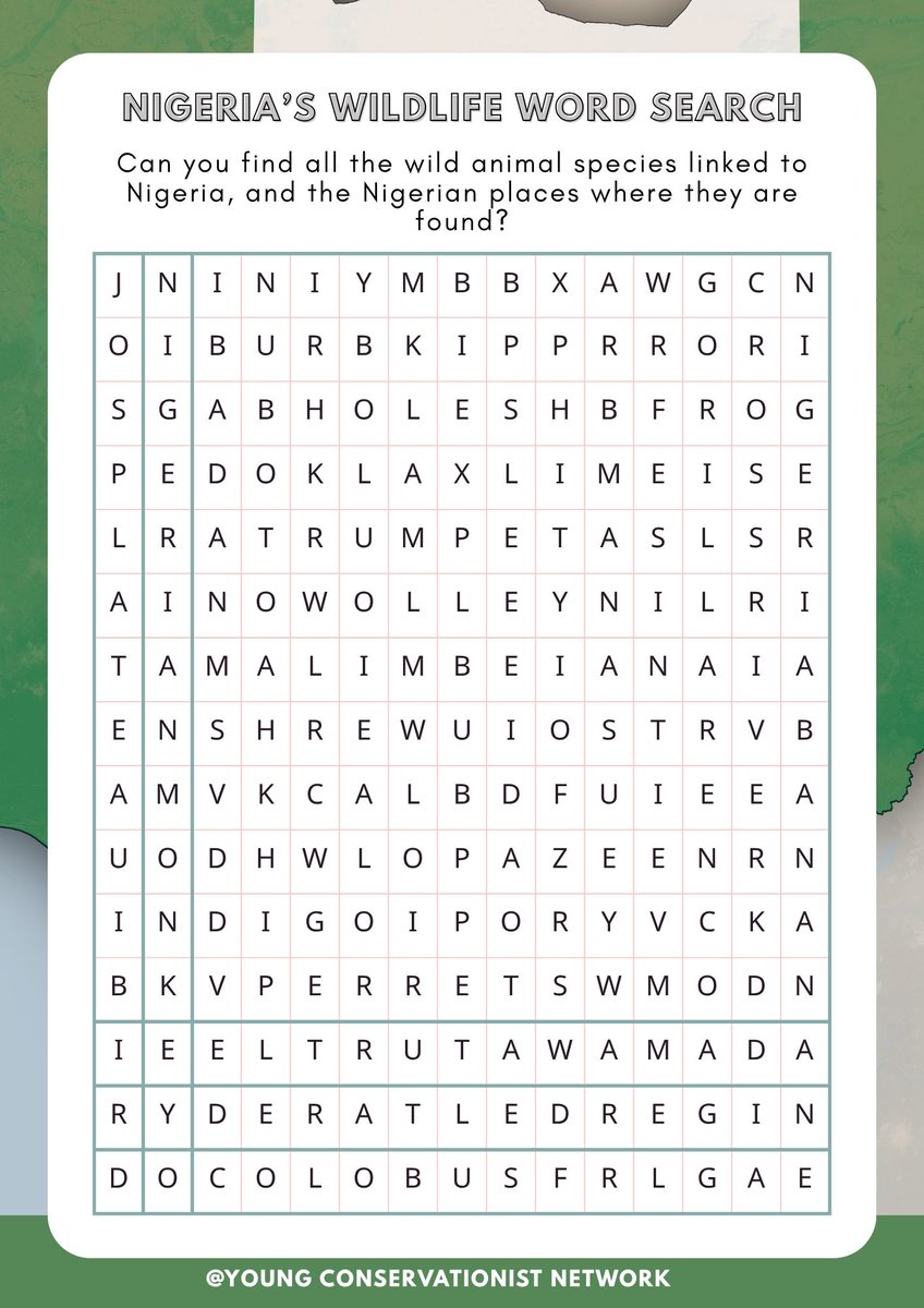 _YCNetwork's tweet image. In honour of Nigeria’s Sapphire Jubilee, a fun and educational word search has been created, highlighting wild animal species whose names are linked to Nigerian places or even carry Nigeria’s name. 💡Challenge: Can you find all the wild species in the puzzle?