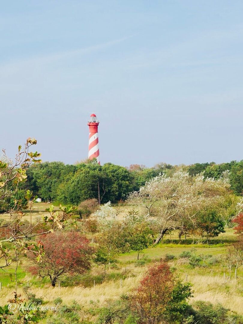 Fred Baltus tweet media