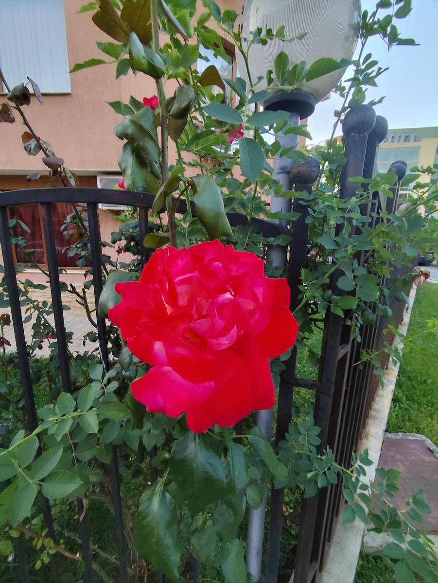 <a href="/Mary__llA/">💫🦋༆𝓶𝓪𝓻𝔂𝓵𝓵𝓪༆🦋💫</a>