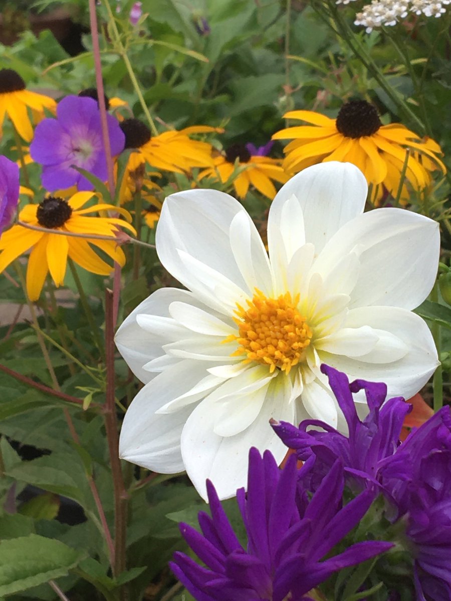 <a href="/Mary__llA/">💫🦋༆𝓶𝓪𝓻𝔂𝓵𝓵𝓪༆🦋💫</a>