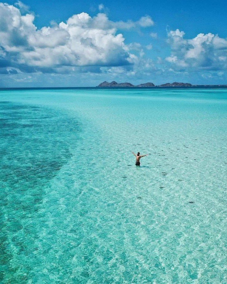 GianlucaCoccon1's tweet photo. Paradisíaco
LOS AZULES de LOS ROQUES 
en el Caribe VENEZOLANO 
🇻🇪🇻🇪🇻🇪🇻🇪🇻🇪🇻🇪🇻🇪🇻🇪🇻🇪🇻🇪
@venezuelaenfoto https://t.co/5yNJLC1OZi